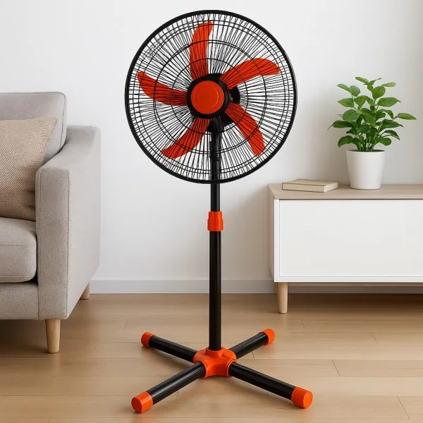 Fan